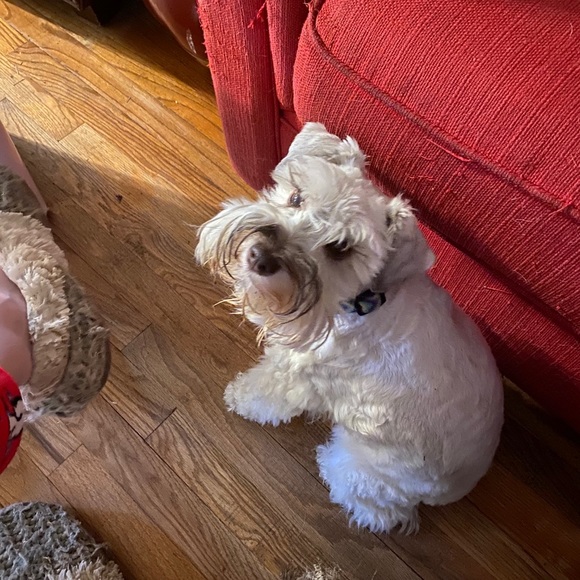 Meet your Posher, Crystal - Picture 8 of 10